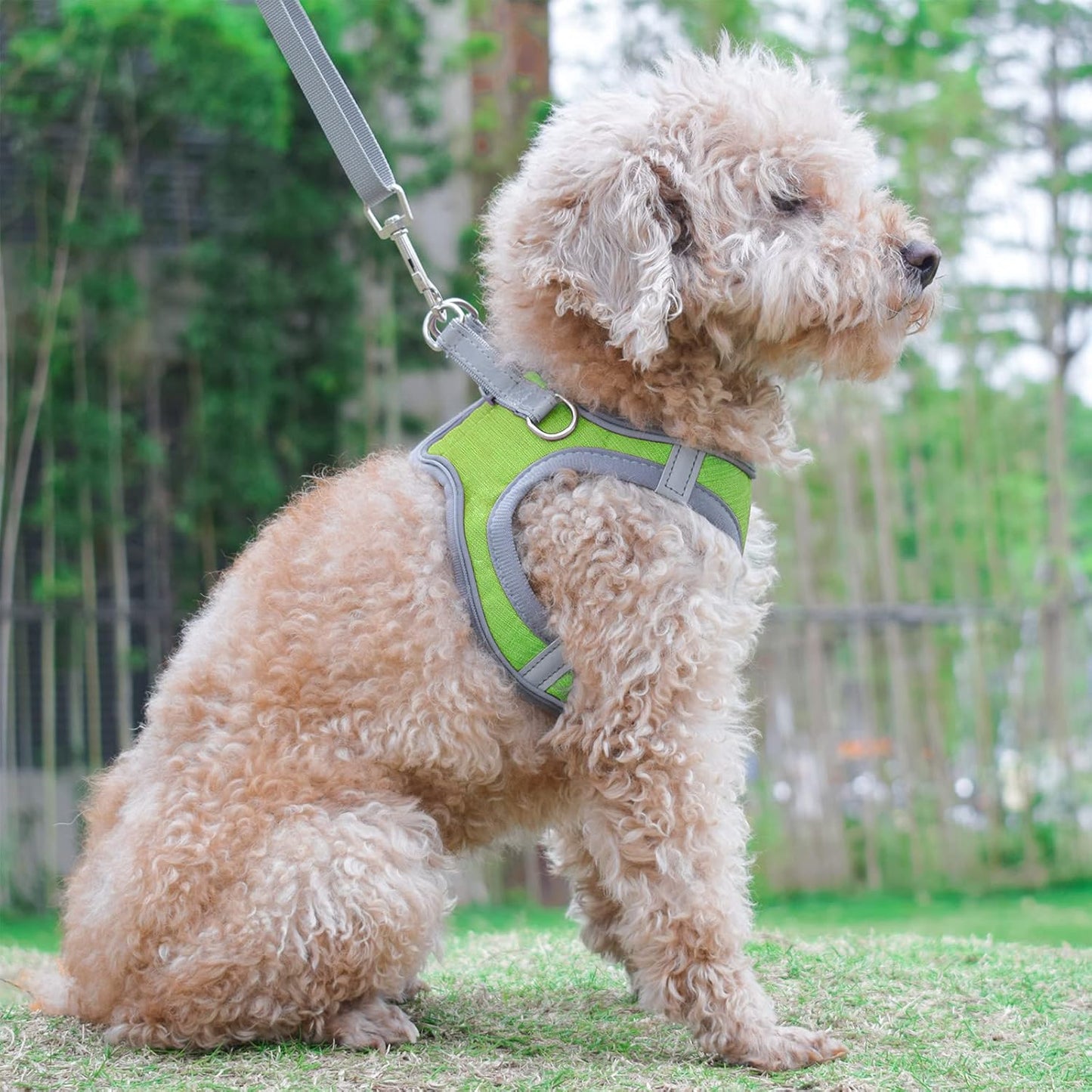 Small Dog Harness, Puppy Harness, Adjustable Leash and Collar Set for Small Dogs, Dog Vest Harness, Soft Dog Harness for Small Medium Puppy, Green X-Small