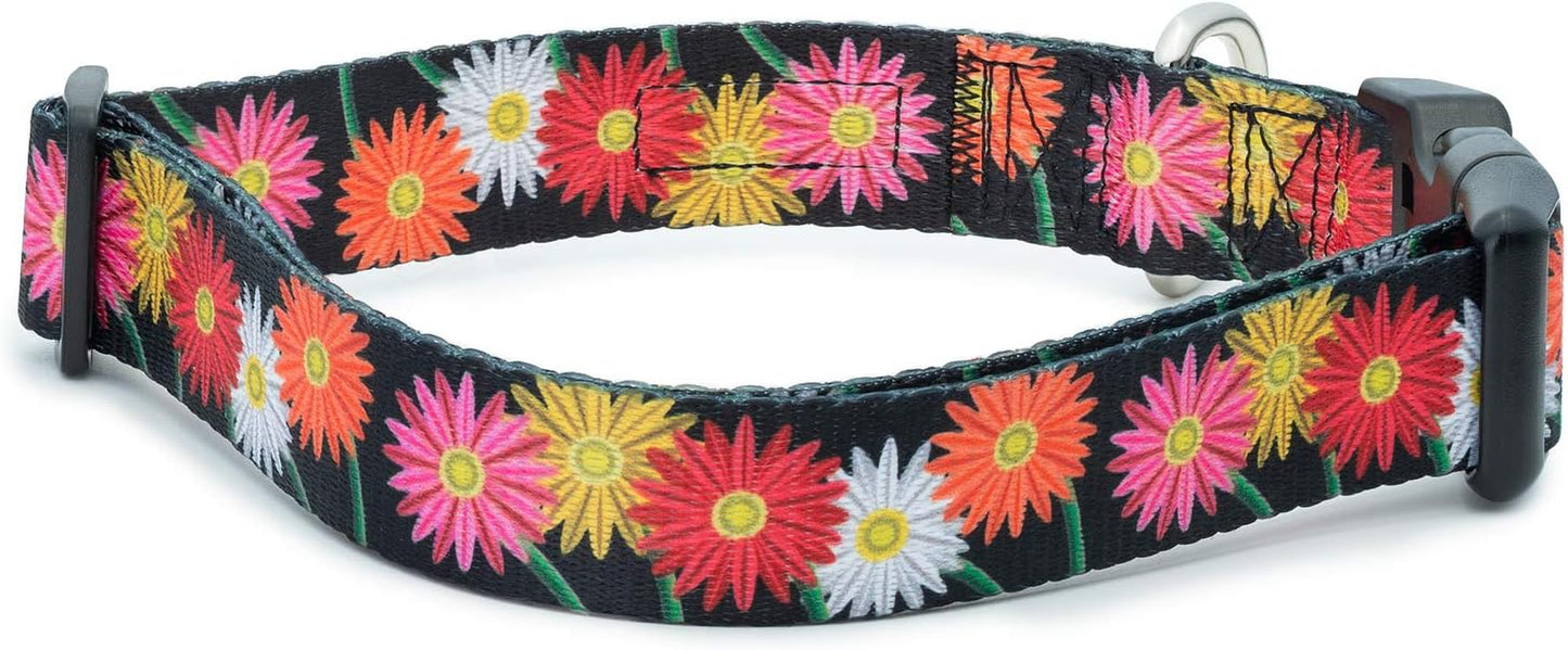 Floral Flower Dog Collar (Large, Daisy)