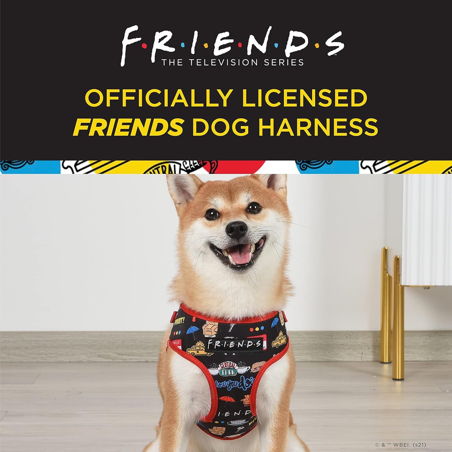 Friends TV Show Iconic Graphics Dog Harness for Small Dogs (S) | Black No-Pull Harness with D-Ring | Machine Washable Friends Merch