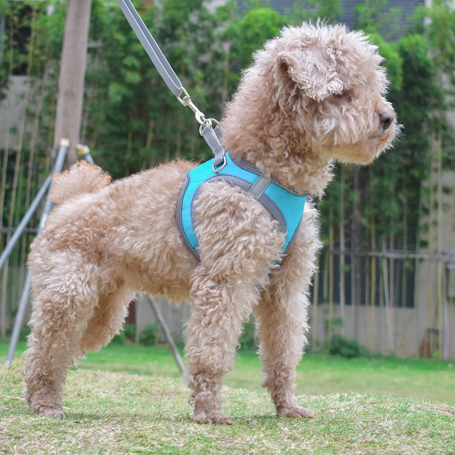 Small Dog Harness, Puppy Harness, Adjustable Leash and Collar Set for Small Dogs, Dog Vest Harness, Soft Dog Harness for Small Medium Puppy, Baby Blue XXS