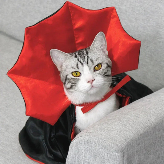 Pet Vampire Cape – Hauntingly Cute Halloween Costume for Cats &amp; Small Dogs
