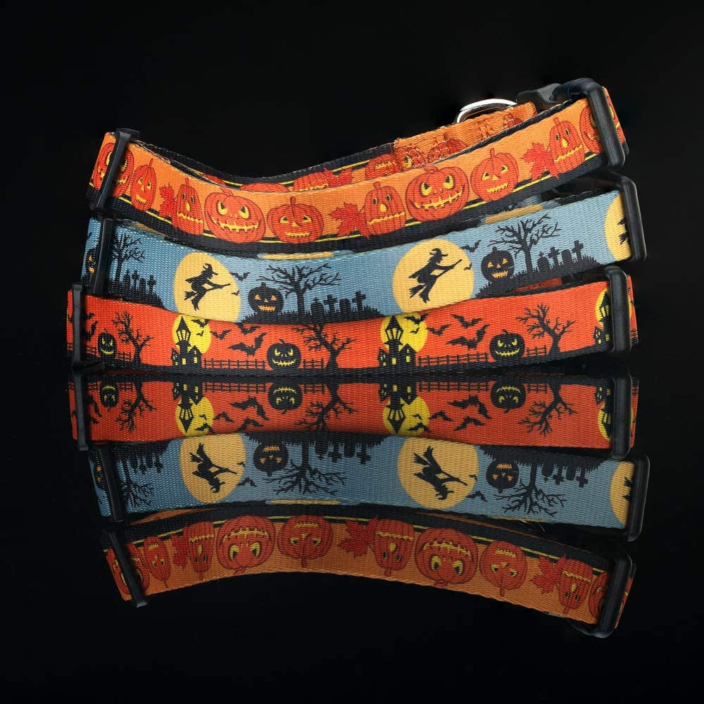 Halloween Dog Collar (The Witch, Large)