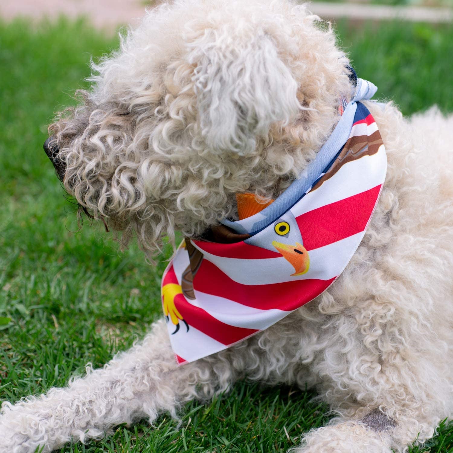 American Flag Dog Bandana (Bald Eagle, Large)