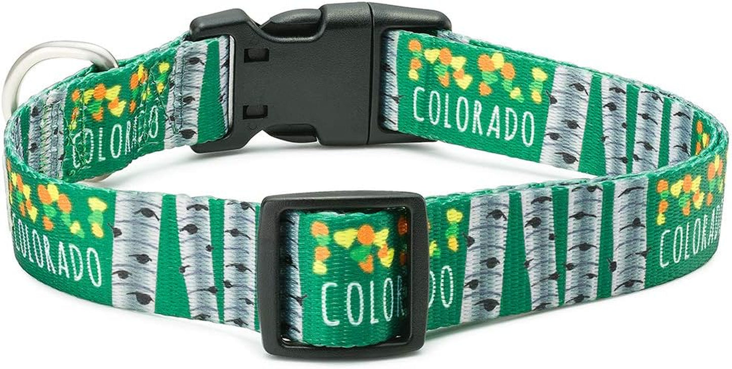 Colorado State Flag Dog Collar (Medium, Aspen)