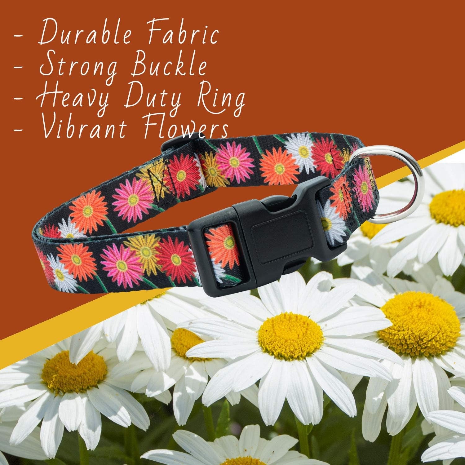 Floral Flower Dog Collar (Large, Daisy)