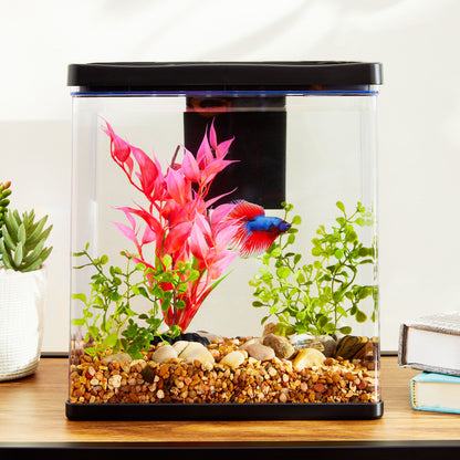 Betta View Aquarium Starter Kit, 3 Gallon