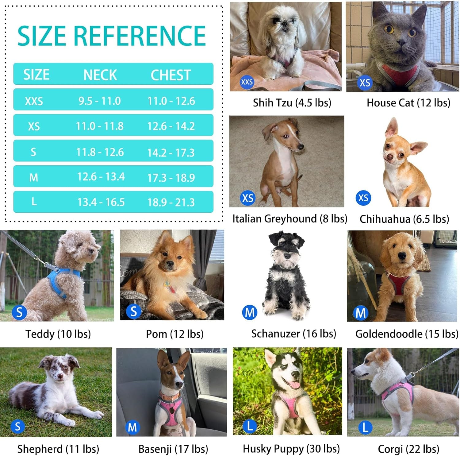 Small Dog Harness, Puppy Harness, Adjustable Leash and Collar Set for Small Dogs, Dog Vest Harness, Soft Dog Harness for Small Medium Puppy, Baby Blue XXS