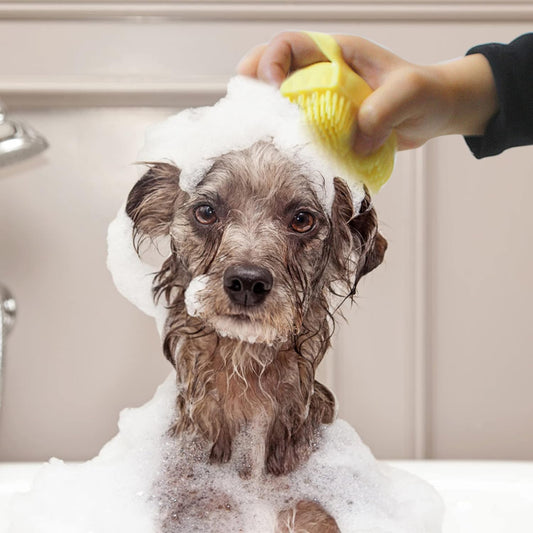 Gentle Silicone Pet Brush - Waterproof Grooming & Massage Tool for Dogs & Cats