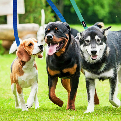 3 Pack Nylon Dog Leashes Strong & Durable Basic Leash 4/5/6 FT
