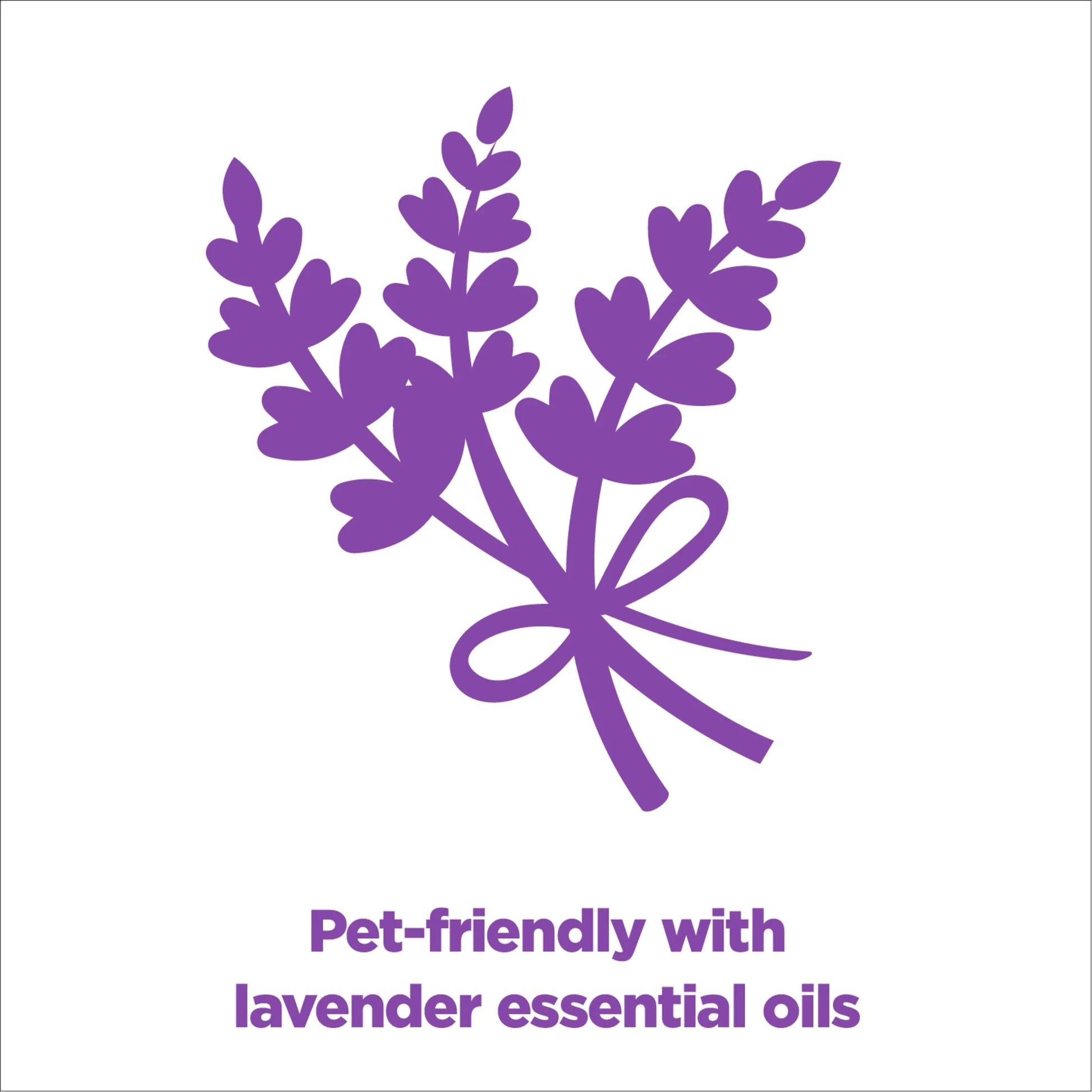 (4 Pack)  Forever Fresh Clumping Cat Litter, Lavender Essential Oils, Multi-Cat, 20 Lb