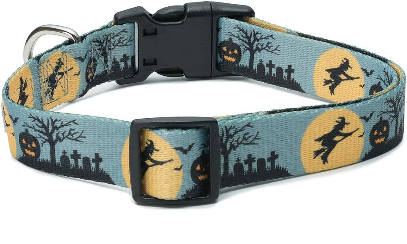 Halloween Dog Collar (The Witch, Large)