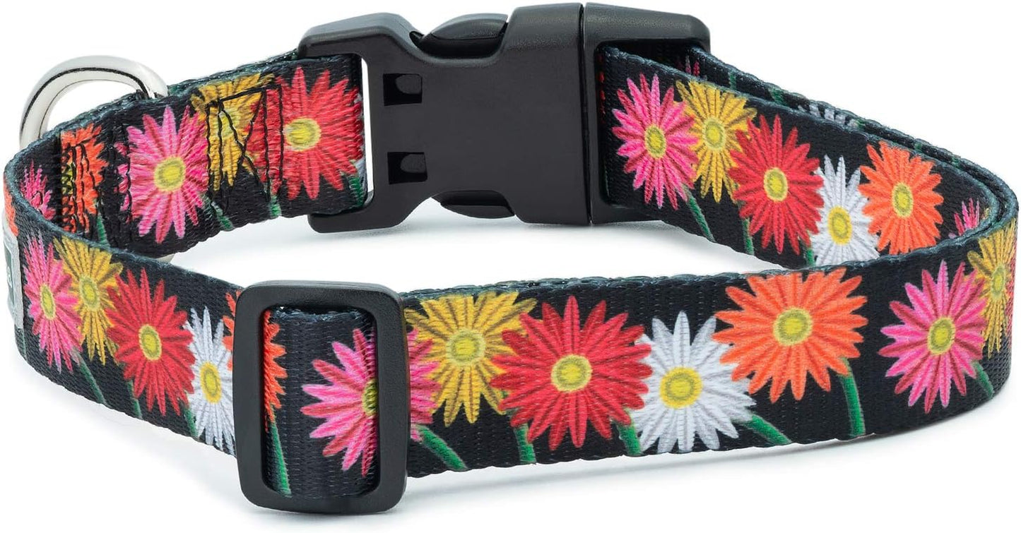 Floral Flower Dog Collar (Large, Daisy)