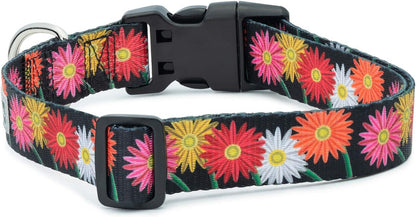 Floral Flower Dog Collar (Large, Daisy)