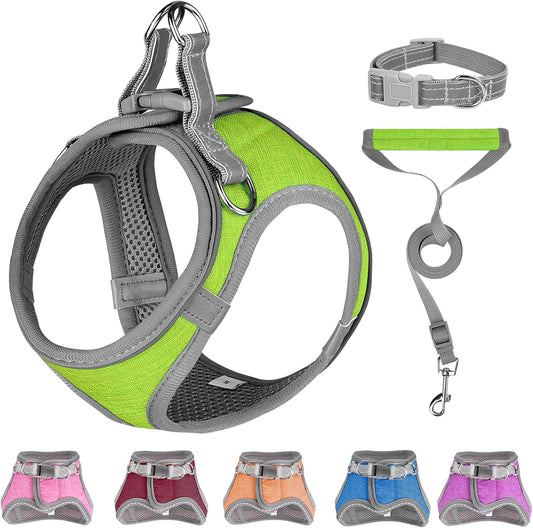 Small Dog Harness, Puppy Harness, Adjustable Leash and Collar Set for Small Dogs, Dog Vest Harness, Soft Dog Harness for Small Medium Puppy, Green X-Small