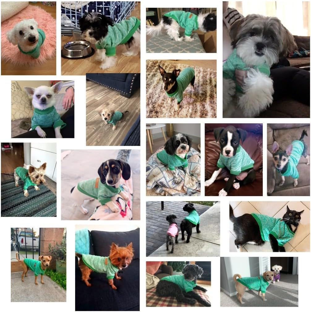 Pet Dog Sweater Warm Dog Pajamas Soft Cat Sweater Puppy Clothes Small Dogs Sweater Winter Doggie Sweatshirt (L, Green)