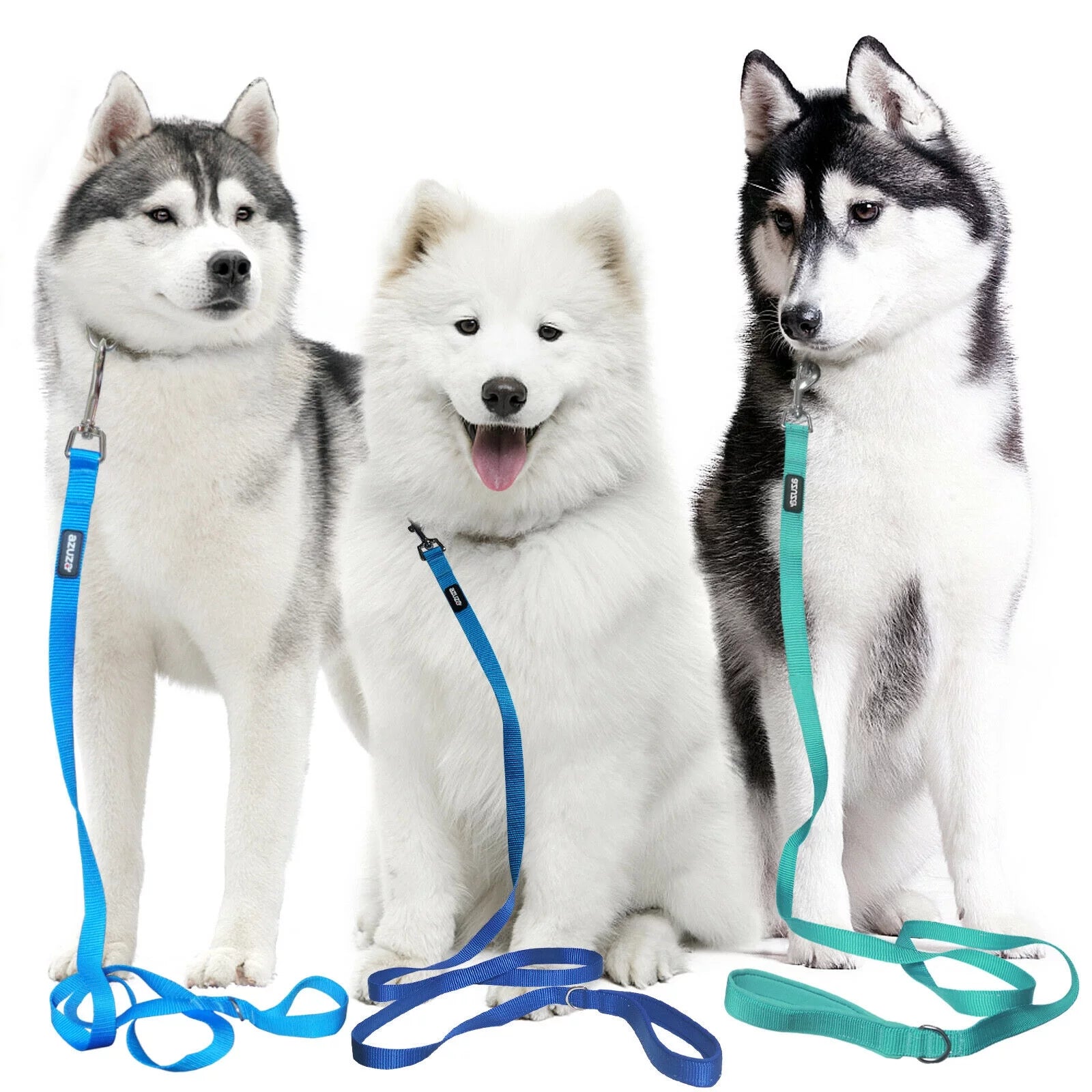 3 Pack Nylon Dog Leashes Strong & Durable Basic Leash 4/5/6 FT