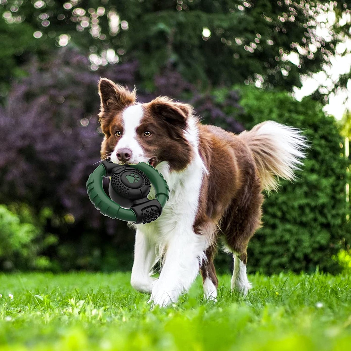 Dog Toys Steering Wheel Indestructible, Squeaky Dog Chew Toys, Rubber Dog Toys for Medium and Large Dogs, Sturdy Squeaky Dog Toys (Green)