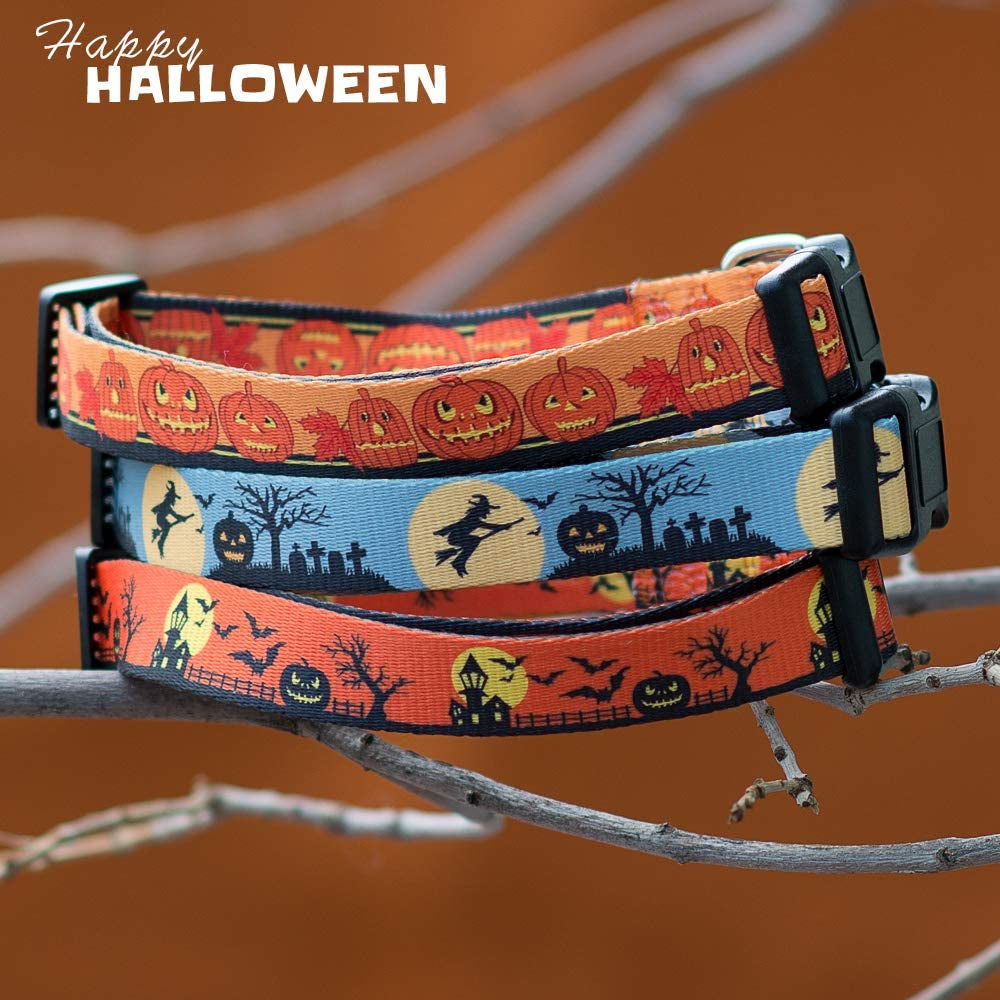 Halloween Dog Collar (The Witch, Large)