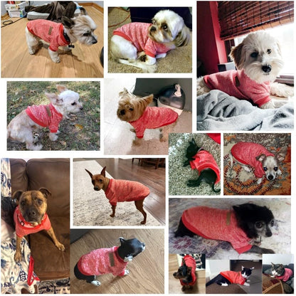 Pet Dog Classic Knitwear Sweater Warm Winter Puppy Pet Coat Soft Sweater Clothing for Small Dogs (XXS, Red)