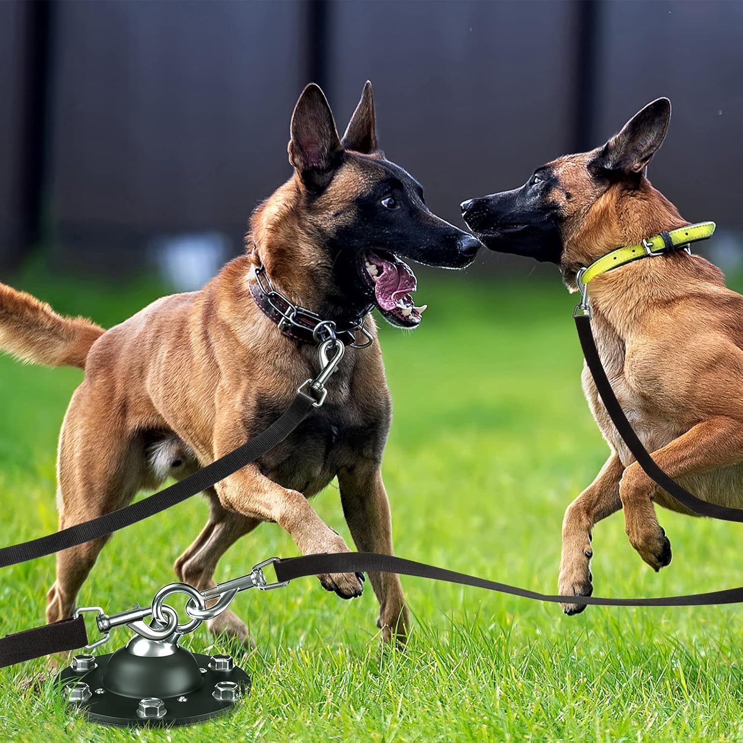 Dog Tie Out Stake Heavy Duty Dog Anchor for Large Dogs up to 220Lbs Dog Leash Stake for Yard Dog Stake Strongest Dog Anchor Holds Outdoor Dog Runner Tie Out Stake Dog Yard Stake
