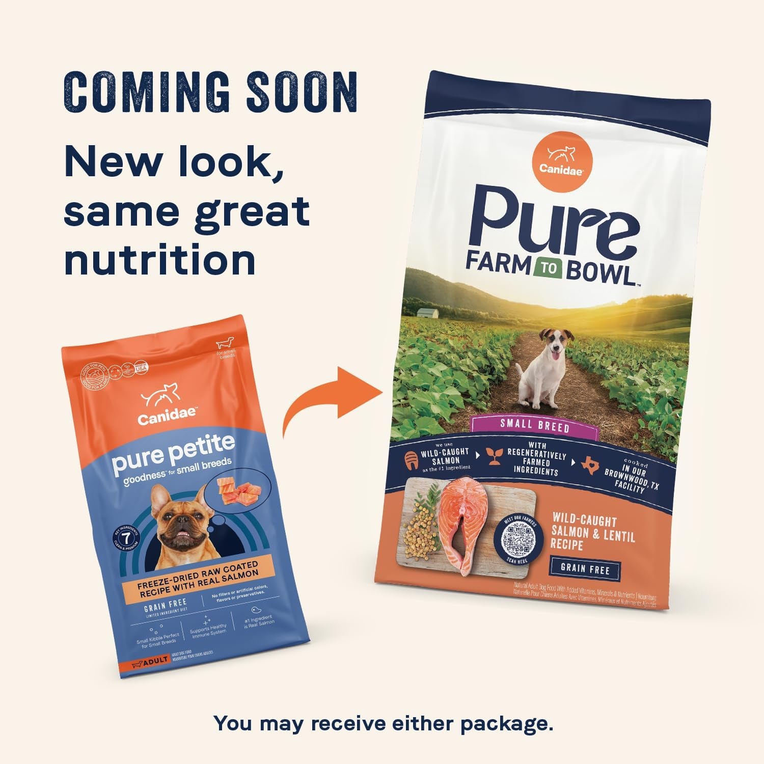 Pure Petite Premium Freeze-Dried Raw Coated Dog Food for Small Breeds, Real Salmon Recipe, 4 Lbs, Grain Free