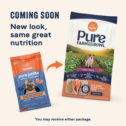 Pure Petite Premium Freeze-Dried Raw Coated Dog Food for Small Breeds, Real Salmon Recipe, 4 Lbs, Grain Free