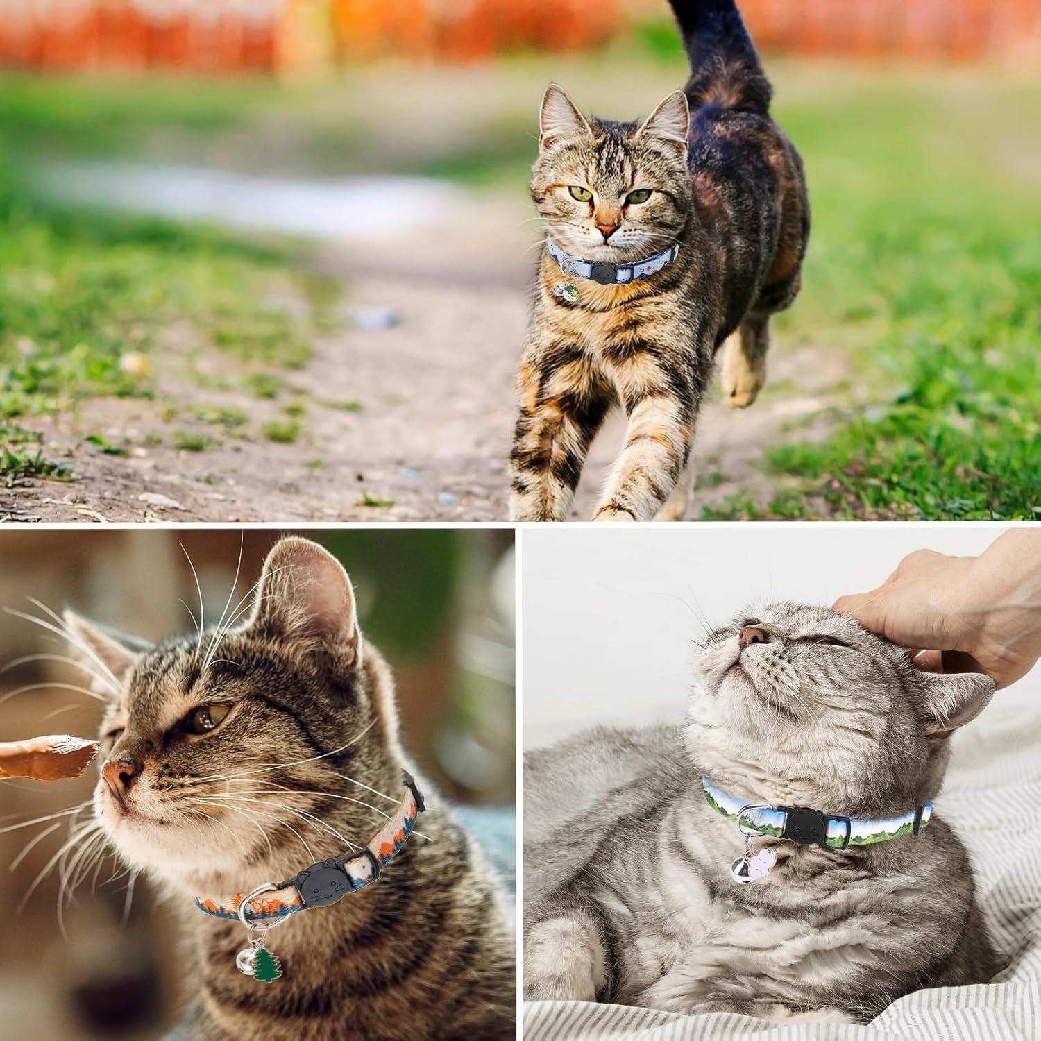 Breakaway Cat Collars with Bell, 3 Pack Adjustable Safety Cat Collar for Boy and Girl Cats, Cute Kitten Collar for Cats Puppies Daily Wearing