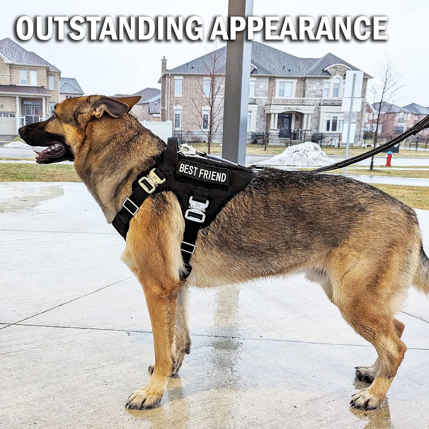 Tactical Dog Harness for Large Dogs with 4 Metal Buckles, Waterproof; Military Grade Dog Vest, Stop Pulls, Does Not Choke Neck and Prevents Escapes, Heavy-Duty Dog Harness, Black (L)