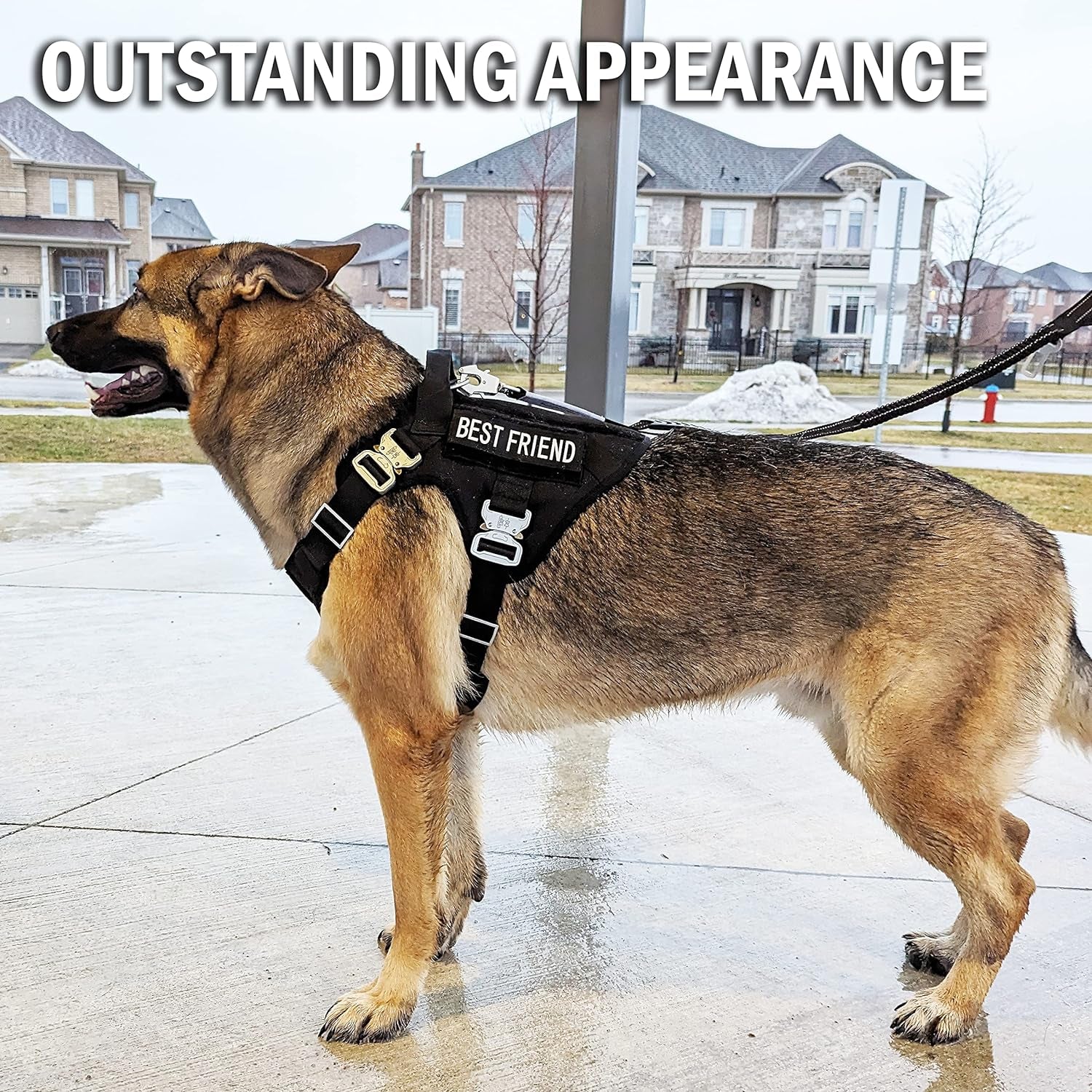 Tactical Dog Harness for Large Dogs with 4 Metal Buckles, Waterproof; Military Grade Dog Vest, Stop Pulls, Does Not Choke Neck and Prevents Escapes, Heavy-Duty Dog Harness, Black (L)