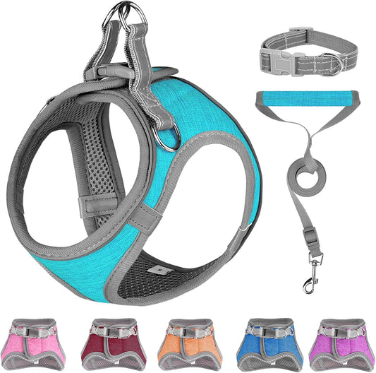 Small Dog Harness, Puppy Harness, Adjustable Leash and Collar Set for Small Dogs, Dog Vest Harness, Soft Dog Harness for Small Medium Puppy, Baby Blue XXS