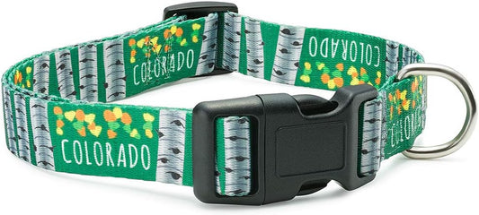 Colorado State Flag Dog Collar (Medium, Aspen)
