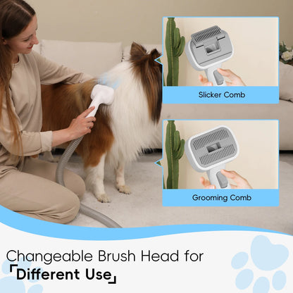 , Dog Hair Vacuum with 3 Modes, 5 in 1 Kit, 3L Large Dustbin, Low Noise
