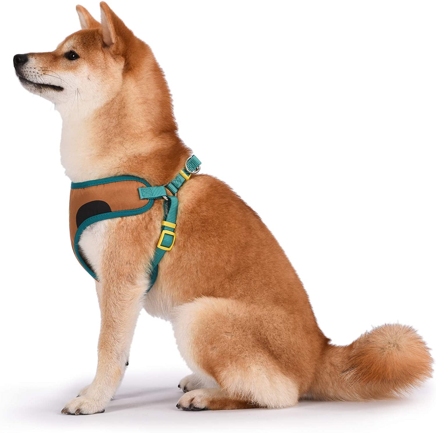 Scooby Doo Dog Harness, Medium - Soft and Comfortable - Warner Brothers Scooby Doo No Pull Tan and Blue Dog Harness - Cute Dog Harnesses for Medium Dogs