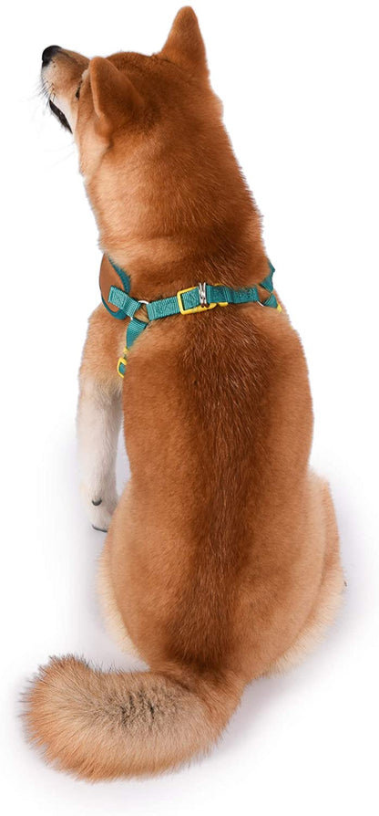 Scooby Doo Dog Harness, Medium - Soft and Comfortable - Warner Brothers Scooby Doo No Pull Tan and Blue Dog Harness - Cute Dog Harnesses for Medium Dogs