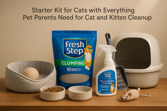 Professional product photo for cat starter kit with organized cat essentials